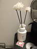 八海鳥(niǎo)香薰無(wú)火藤條梔子花全季酒店室內香水希爾頓臥室持久廁所除臭熏香 曬單實(shí)拍圖