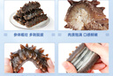 遼參大連有機冷凍海參1斤10-12只非即食京東自營旗艦店獨立包裝正品 曬單實拍圖