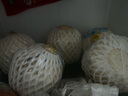 品贊 泰國椰青9個(gè)原箱 單果凈重700-900g 椰子新鮮水果泰國香椰 曬單實(shí)拍圖