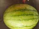 新鮮頭茬香甜冰激淋玉菇甜瓜當季新鮮水果 美味可口2-3斤裝（1-2粒） 曬單實(shí)拍圖