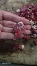 澳牛日記谷飼牛上腦肉 凈重2.5斤原切牛肉整塊進(jìn)口冷凍大塊嫩肩肉火鍋生鮮 曬單實(shí)拍圖