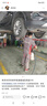 采埃孚（ZF）AV8 8速自動(dòng)變速箱油二代途銳/卡宴/Q7/沃爾沃S60/XC60 4L 曬單實(shí)拍圖