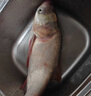 云飛魚無結(jié)主線線組套裝釣魚線主線成品綁好黑坑大物鰱鳙主線組配件漁具 6.3米八字環(huán)款4卷【拉力提升】 2.0號 曬單實拍圖