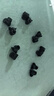 小號公主頭發(fā)抓夾發(fā)夾子頭飾發(fā)卡子女爪夾秋冬鯊魚(yú)夾迷你黑色劉海 磨砂款12個(gè)裝 曬單實(shí)拍圖