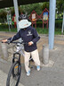 洛克兄弟兒童騎行頭盔青少年自行車(chē)頭盔風(fēng)鏡男女山地公路車(chē) 鈦色 曬單實(shí)拍圖