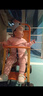 惠氏【官方授權】新國標啟賦藍鉆3段HMO親和人體幼兒配方奶粉三段 3段810g*6罐 【愛爾蘭產】 曬單實拍圖