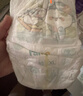 幫寶適【超薄透氣】新幫寶適清新幫透氧Pro紙尿褲NB-XL尿不濕 紙尿褲L32片(9-14kg) 曬單實拍圖