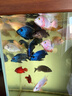 海豚原生魚(yú)飼料螺旋藻發(fā)色高蛋白中大型魚(yú)溪流魚(yú)糧緩沉專(zhuān)用魚(yú)食吉羅魚(yú) 780g色揚 小粒約3mm 曬單實(shí)拍圖