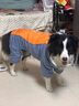 超可耐狗狗衣服加絨保暖加厚大型犬金毛邊牧秋冬裝寵物全包四腳棉衣 天空藍（加厚加絨） 26適合46-55斤 四腳棉服 曬單實(shí)拍圖