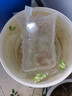 寵小俠純種孔雀魚(yú)觀賞魚(yú)好養(yǎng)耐活淡水小型魚(yú)熱帶魚(yú)鳳尾熱帶魚(yú)小魚(yú)苗 練手孔雀2-3cm30條（26送4備損） 曬單實(shí)拍圖