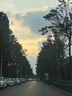 京潤珍珠項鏈遐真925銀淡水珍珠項鏈玫瑰花珍珠項鏈實(shí)用中秋送禮生日 曬單實(shí)拍圖