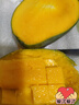 四川凱特芒新鮮芒果生鮮水果彩虹芒果 凱特芒凈重5斤400克+ 曬單實(shí)拍圖
