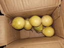 廣西欽蜜9號黃金百香果萬(wàn)澄當季新鮮大果黃皮果奶茶店水果 【1斤 約11-17個(gè)】單果30-45g 曬單實(shí)拍圖