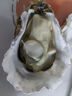 鮮海道 鮮活乳山生蠔2XL 凈重5斤 17-21只 生鮮海鮮貝類(lèi) 源頭直發(fā) 曬單實(shí)拍圖