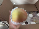 京鮮生 山西早熟富士蘋(píng)果 凈重8斤 單果75mm+ 生鮮水果 源頭直發(fā) 曬單實(shí)拍圖