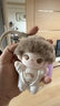 POP MART泡泡瑪特 DIMOO心動(dòng)特調系列-軟臉毛絨鑰匙扣盲盒衍生品 整盒6個(gè) 不支持七天無(wú)理由退換 曬單實(shí)拍圖