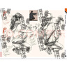 【現貨速發(fā)】線(xiàn)性王牌體系3速寫(xiě)臨摹范本 2025烈公文化湯大偉速寫(xiě)基礎局部動(dòng)態(tài)單人組合人物速寫(xiě)臨摹范本素材美術(shù)高考聯(lián)考教材教程書(shū)籍 曬單實(shí)拍圖