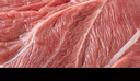  【180天白豬家庭裝】冰鮮豬腿肉1kg 曬單實(shí)拍圖