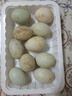 鴨蛋新鮮生鴨蛋土鴨蛋農家散養綠殼青皮鴨蛋整箱批發(fā) 10枚 50g-60g 曬單實(shí)拍圖