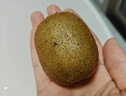 京鮮生陜西徐香綠心獼猴桃 24枚單果90-110g  新鮮水果 源頭直發(fā) 包郵 曬單實(shí)拍圖