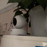 普聯(lián)（TP-LINK）監控攝像頭 500萬(wàn)3K智能雙光全彩夜視 360度全景手機遠程語(yǔ)音通話(huà) 寶寶寵物室內家用安防 IPC45AW 曬單實(shí)拍圖