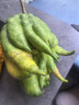 卓勵行云南新鮮佛手柑香櫞果佛手果鮮果水培聞香觀(guān)賞食用清洪 5斤食用果-普通快遞顏色隨機 曬單實(shí)拍圖
