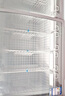 澳柯瑪516升商用臥式冷凍柜雪糕柜弧形大容量展示柜冰柜商超玻璃門(mén)海鮮凍品一級能效 零下28度 SD-516CG  曬單實(shí)拍圖