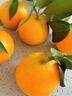 生果樂(lè ) 愛(ài)媛果凍橙38號【多地次日達】橘橙子水果柑橘水果禮盒中秋送禮 【金獎·禮宴臻品】貢品果 單果80-90mm 9斤裝 【蕞劃算-全網(wǎng)比價(jià)】量大全家爽吃 凈8.5斤 曬單實(shí)拍圖