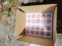 京喜加 谷物喂養(yǎng)初產新鮮雞蛋40g正負5g生鮮超市買菜早餐土雞蛋草雞蛋 10枚 曬單實拍圖