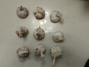 千封河南2025新蒜新干蒜多瓣蒜大蒜頭紫皮大蒜批發(fā) 大蒜特大果 5斤 曬單實(shí)拍圖