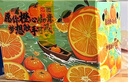 京鮮生 當(dāng)季鮮橙 凈重6斤裝 鉆石果 單果200g起  生鮮橙子水果禮盒 曬單實(shí)拍圖