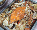 梭子蟹鮮活特大野生舟山大螃蟹海鮮新鮮冷凍海蟹水產(chǎn)飛蟹白蟹 【大號梭子蟹】7-9兩/只凈重5斤 曬單實(shí)拍圖