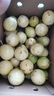 京地達(dá)廣西欽蜜9號(hào)黃金百香果 凈重5斤單果60-70g/35-42個(gè) 源頭直發(fā)包郵 曬單實(shí)拍圖
