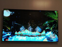 TCL電視 85T6L 85英寸 QD-Mini LED 萬(wàn)象分區 量子點(diǎn) 絢彩XDR 1300nits DeepSeek AI電視 國家補貼 曬單實(shí)拍圖