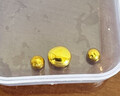 金小貅足金999 黃金轉運珠項鏈頂珠單顆散珠7MM手串diy路路通小金珠子 0.9g,7MM重工古法珠單顆-多退少補 曬單實(shí)拍圖