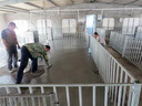 德固水泥修補料灰色高強度速干路面水泥地面修復材料快干砂漿25KG 1袋50斤 灰色 曬單實(shí)拍圖