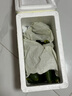京喜加新鮮無(wú)刺水果小黃瓜小青瓜脆甜荷蘭脆嫩生吃黃瓜蔬菜 水果黃瓜 2斤 帶箱活動(dòng) 曬單實(shí)拍圖