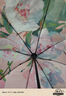 小魔太陽(yáng)傘遮陽(yáng)傘雙層黑膠防曬傘防紫外線(xiàn)晴雨兩用迷你便攜三折傘8骨 曬單實(shí)拍圖