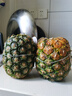 都樂(lè )Dole 進(jìn)口無(wú)冠金菠蘿 2只裝 金菠蘿 單果900g 曬單實(shí)拍圖