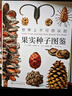 【無(wú)窮小亮推薦】世界上不可思議的果實(shí)種子圖鑒（贈種子水晶吊墜） 曬單實(shí)拍圖