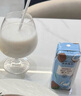 菲里維爾 FERRIS WHEEL椰子汁飲料 200ml*24瓶植物蛋白飲料小瓶醇厚椰肉生榨飲品DIY調飲 曬單實拍圖