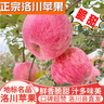 洛川蘋(píng)果陜西延安特產(chǎn)紅富士時(shí)令蘋(píng)果水果禮盒送蘋(píng)果生鮮新鮮脆甜整箱批發(fā) 10斤爆賣(mài)70-75mm（凈重8.5斤） 曬單實(shí)拍圖