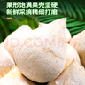 鮮寶道海南牛奶椰皇裝椰白新鮮水果孕婦煲雞湯椰青椰汁配開(kāi)孔器+吸管 海南牛奶椰皇9個(gè)單果1-2斤 曬單實(shí)拍圖