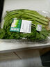 【富硒】香芹苗200g 曬單實(shí)拍圖