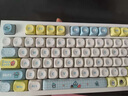 RECCAZR雷咖澤R102小丑魚主題客制化機(jī)械鍵盤gasket結(jié)構(gòu)三模鏈接藍(lán)牙有線無線鍵盤電競游戲辦公 KW75白色【小丑魚】旋鈕+三模+下燈位 奶冰軸 曬單實(shí)拍圖