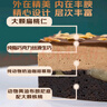 鮮京采生巧核桃布朗尼蛋糕360g濃郁冰淇淋糕點(diǎn)零食教師節禮物 曬單實(shí)拍圖