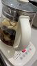 九陽(yáng)（Joyoung）0膠水養生壺 1.5L煮茶器 玻璃花茶壺 316不銹鋼燒水壺電熱水壺 WY301 曬單實(shí)拍圖