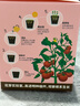 IAM City Farmer小番茄種子兒童種植盆栽學(xué)生植物觀(guān)察杯發(fā)芽生長(cháng)趣味diy植物10031 曬單實(shí)拍圖