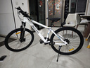 喜德盛（xds）山地自行車(chē)黑客350/旭日310運動(dòng)健身學(xué)生青少年成人單車(chē)騎行 25款黑客350白灰15.5(身高150-165) 曬單實(shí)拍圖