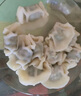 灣仔碼頭薺菜豬肉水餃1800g90只 早餐夜宵速凍餃子面點(diǎn)生鮮半成品 曬單實(shí)拍圖